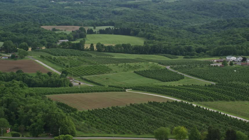 Farms with fields full of crops