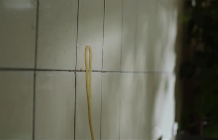Spaghetti is thrown and sticks to the wall
