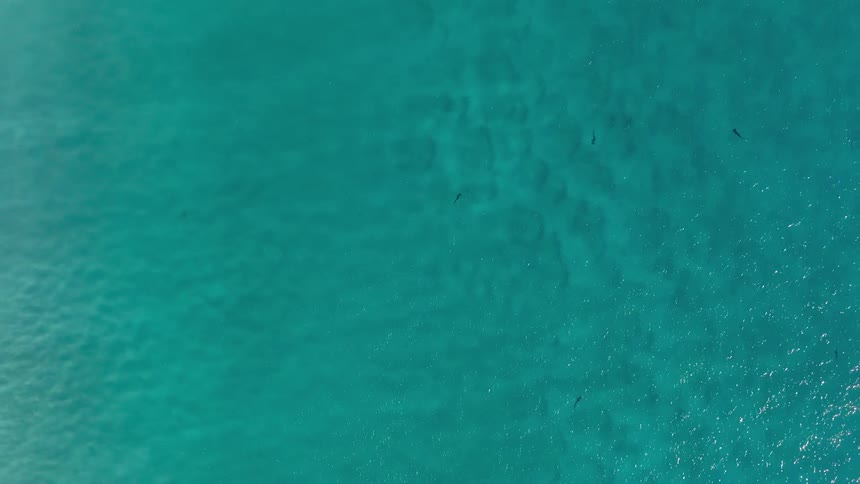 An aerial clip of an ocean