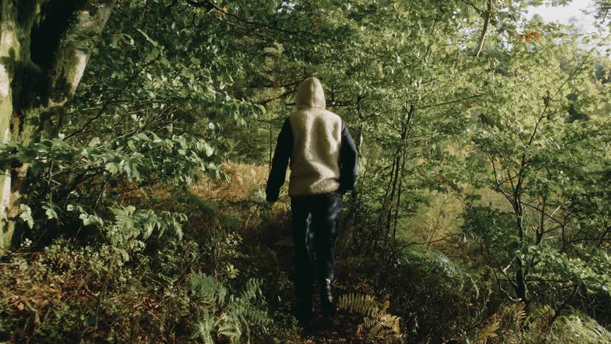 View of a man from behind walking along a forest trail during the day