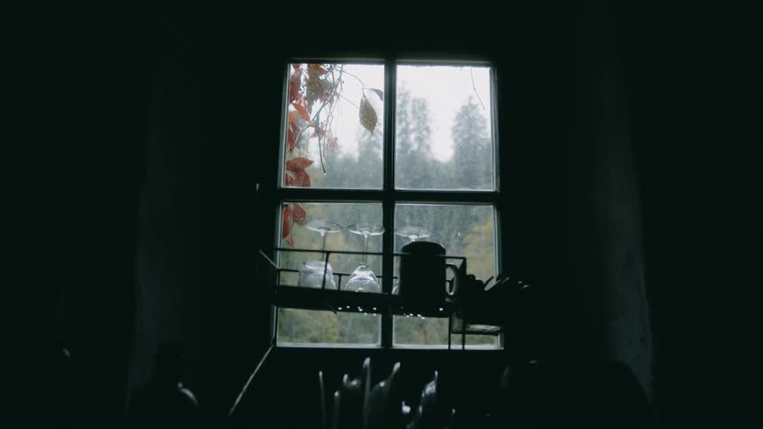 Washed wine glasses in front of a window overlooking a forest on a rainy day