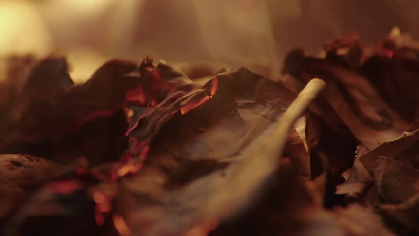 Extreme close up of a burning banknote