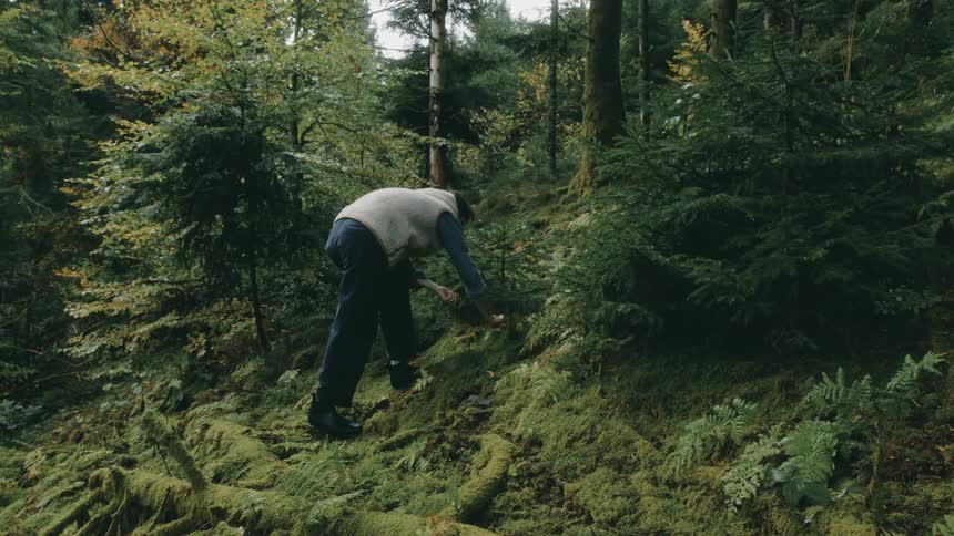 Man in a forest picking mushrooms