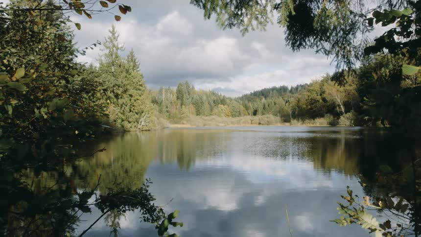 Person moves on shore of reflective lake surrounded by forest on an overcast day