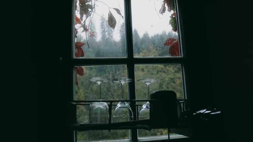 Washed wine glasses in front of a window overlooking a forest on a rainy day