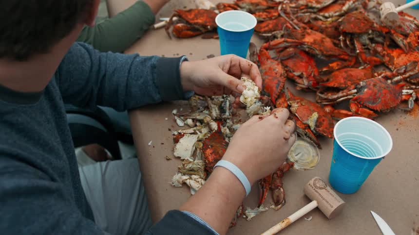 A seated person is peeling a crab and in front there is a table with a pile full of crabs and disposable cups