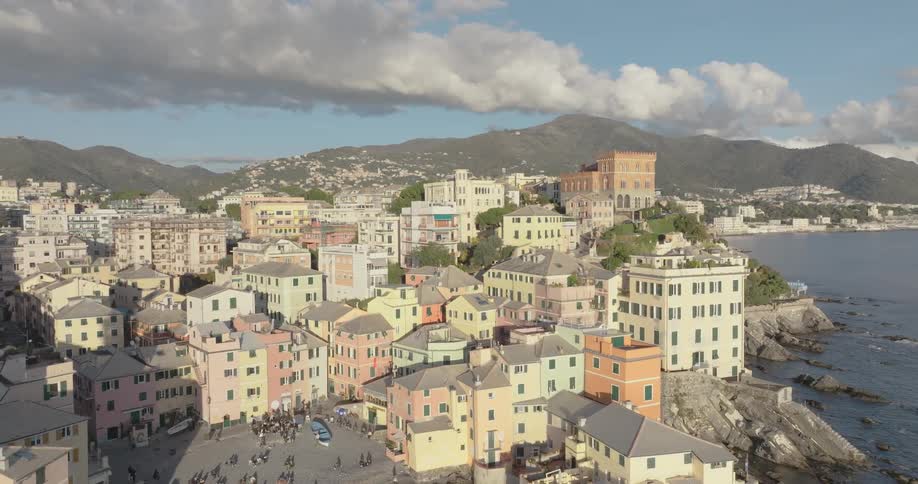 A dense city sits on a coast