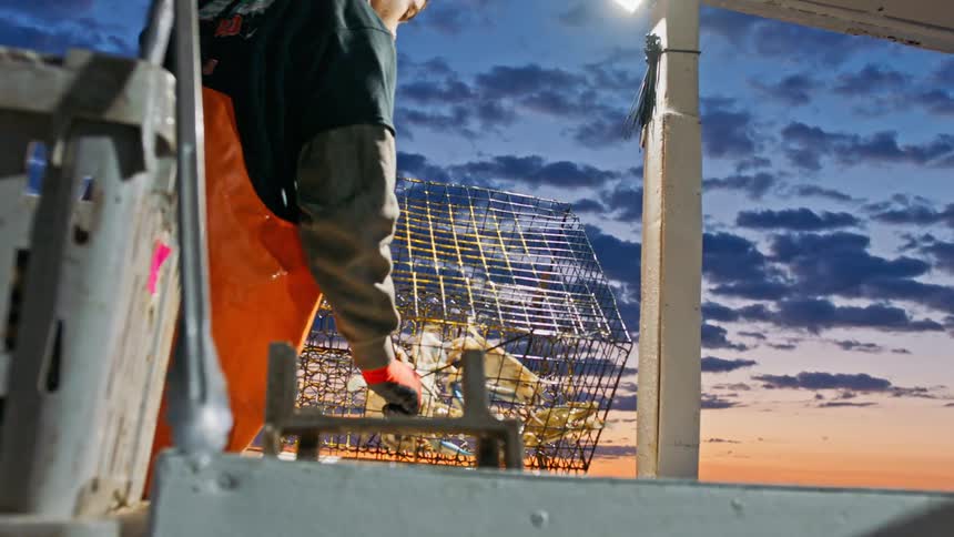 Two men catch crabs in a cage