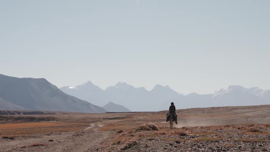 A person rides an animal across a desert