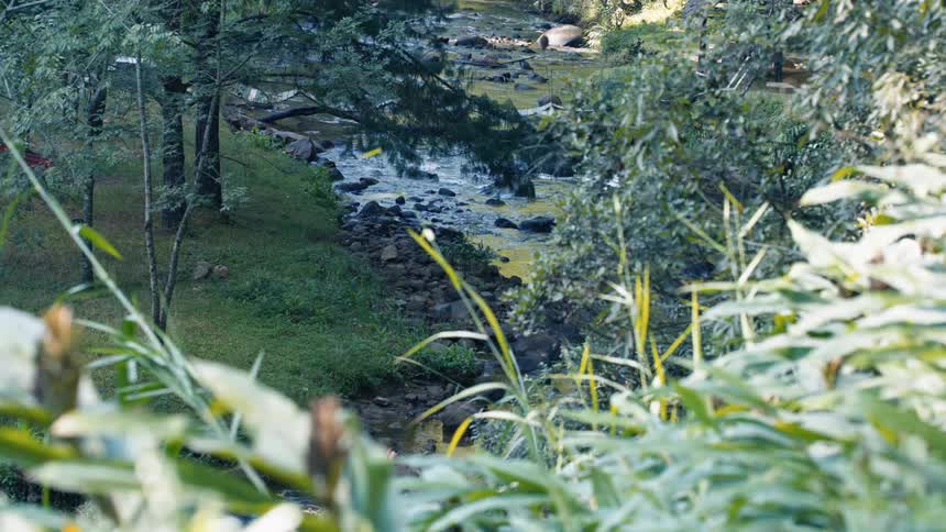 Water runs over a small rapids