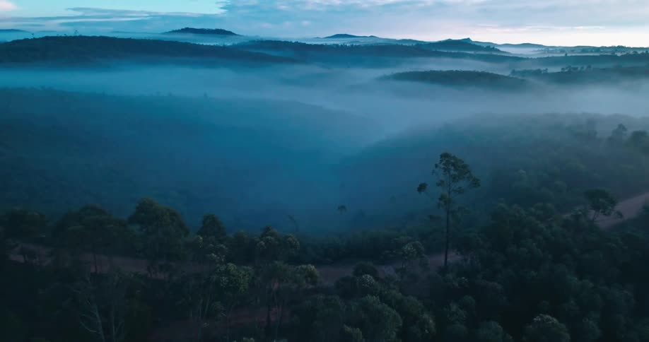 Fog lies over lakes and forests