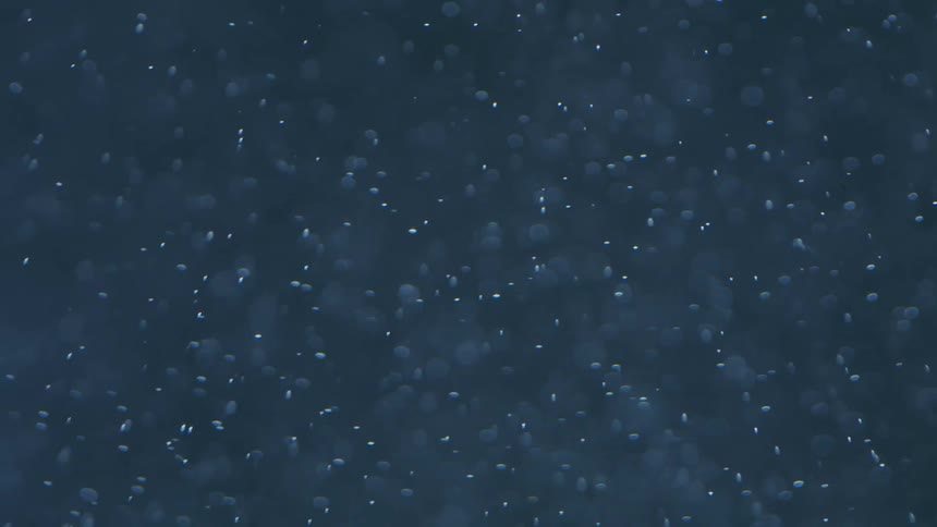 Dense fluid with whitish dots in slow abstract movement