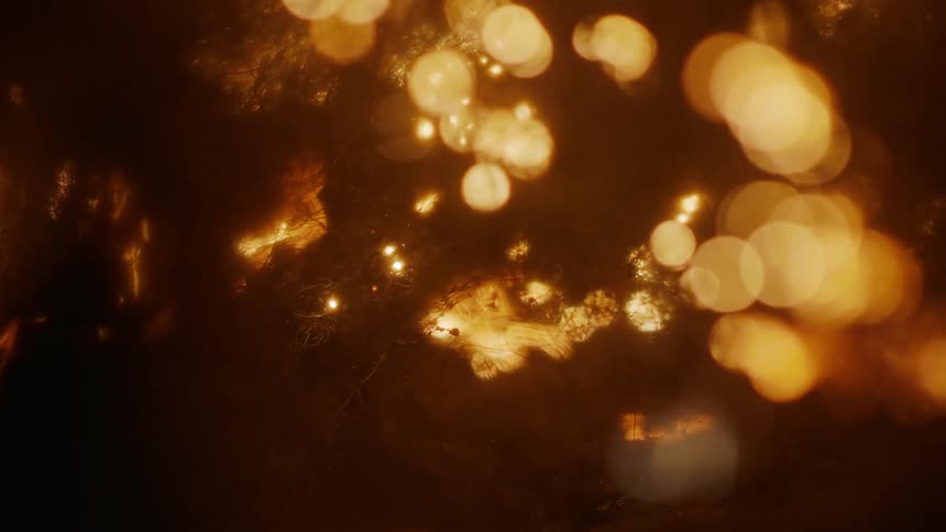Extreme closeup on roots on fire at night in an abstract way