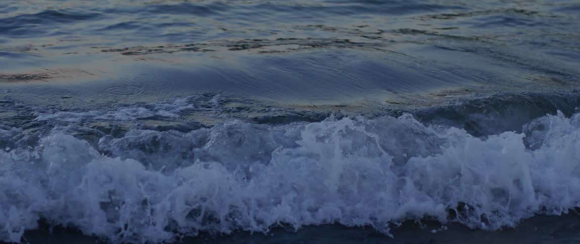 A large blue wave with a white crest crashes against the shore
