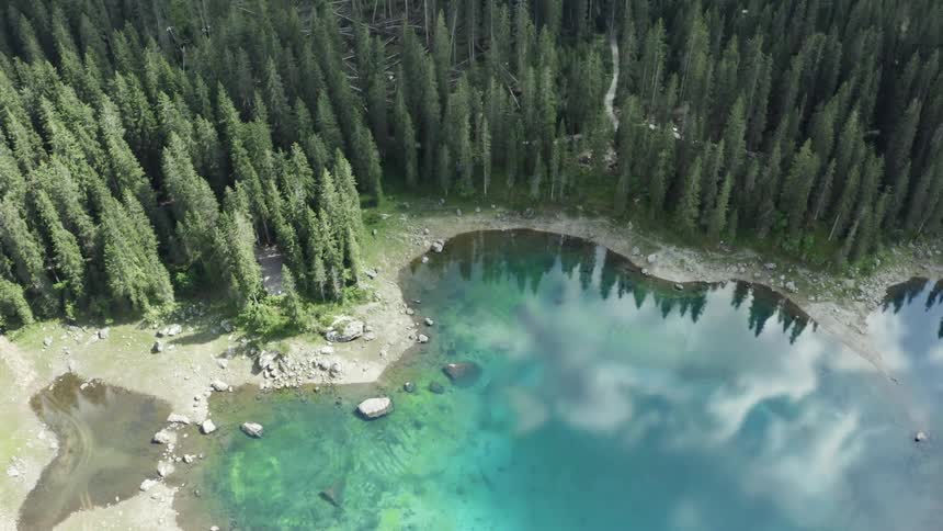 The forest reflects off the water