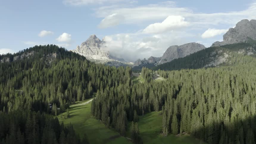 A large forest fills a mountain valley