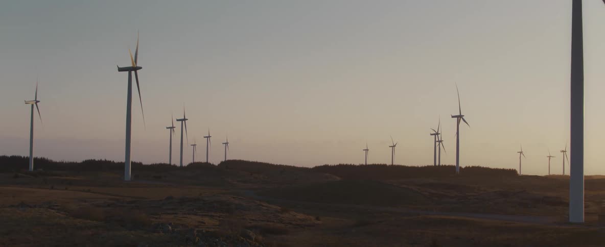 Wind energy platforms in a natural environment on a morning