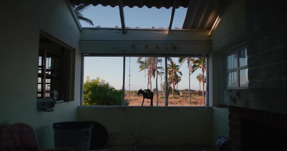 Interior of an abandoned house overlooking a natural environment with tropical palm trees