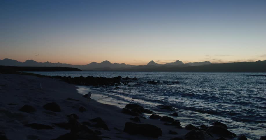 Beach landscape with birds and the silhouette of mountains on the horizon in a purple dawn sky