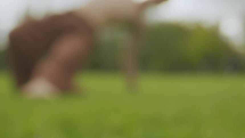 A white male stretches on grass