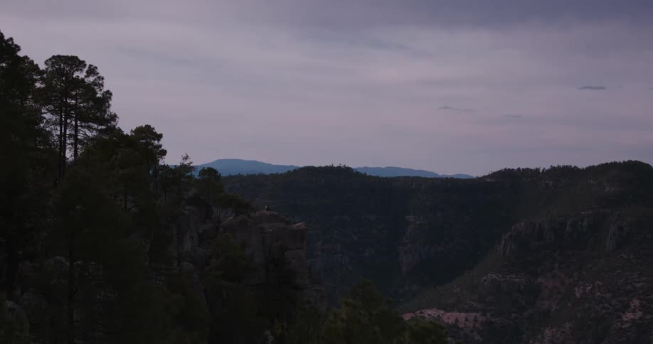 Landscape of mountains and vegetation in a morning with a purple sky