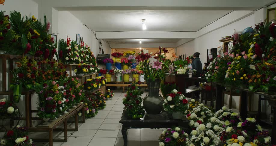 A woman is shopping for flowers