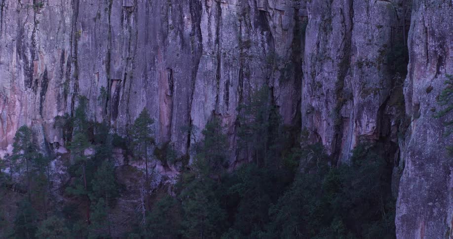 Rugged surface of a cliff face towering over a forest
