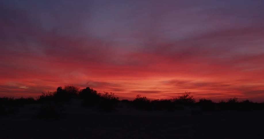 The sun is setting over the forest