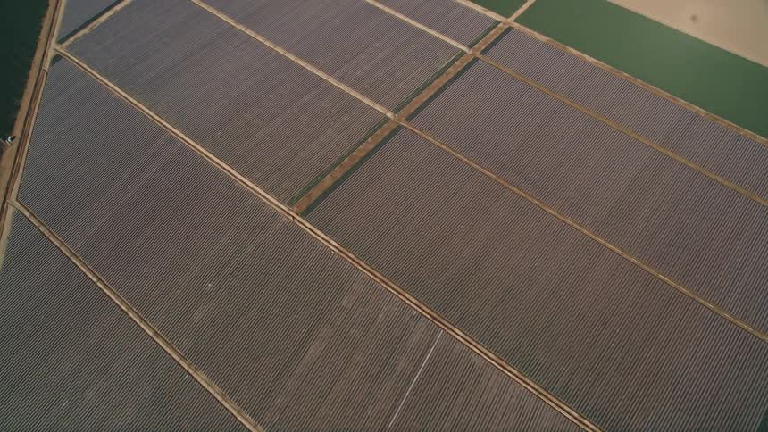 Farms with big fields