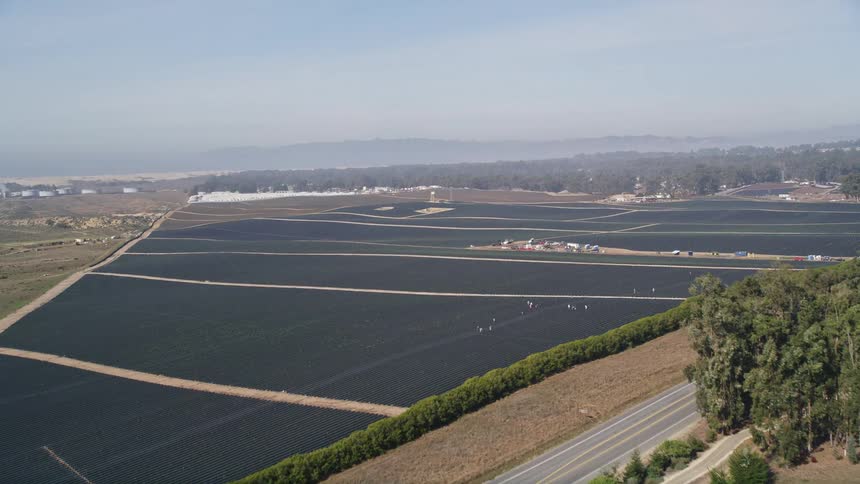 Aerial panorama of a forest and agricultural fields