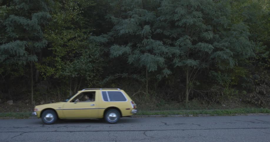 Car driving past trees