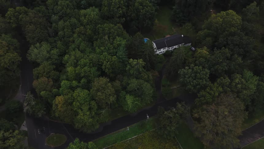 Aerial view of houses surrounded by dense trees