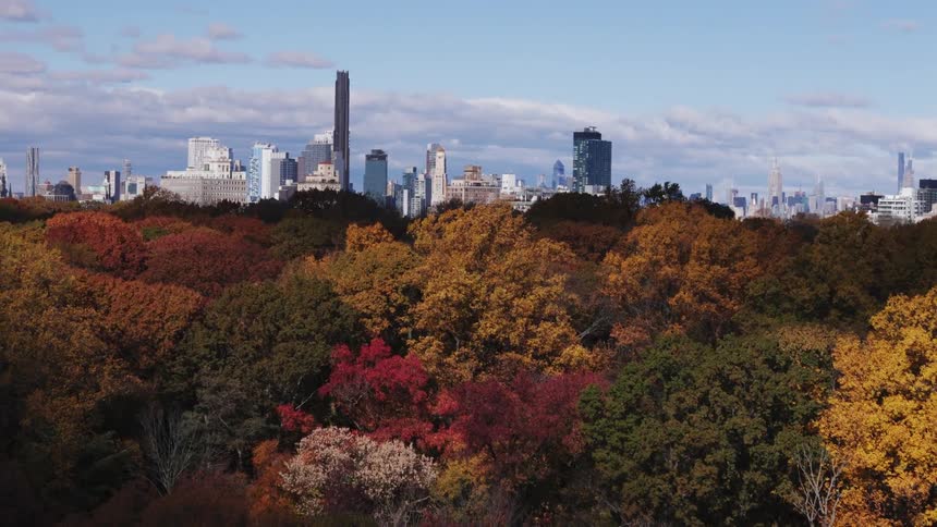 A large downtown area near a large forest