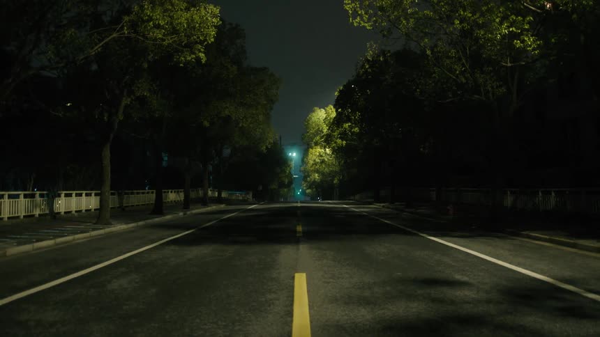 A deserted street at night illuminated by streetlights with trees lining both sides