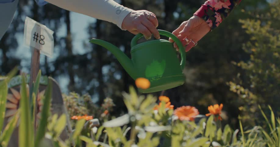 People are watering flowers in the garden