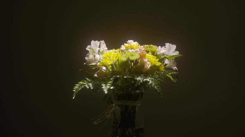 Flowers open and grow in a bouquet under a light in a dimly lit room