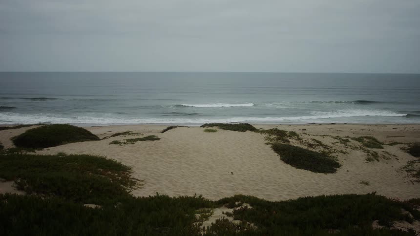 A beach scene under an overcast sky