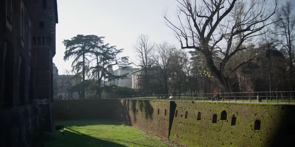 Green moss and grass on the Castello Sforzesco moat in Milan