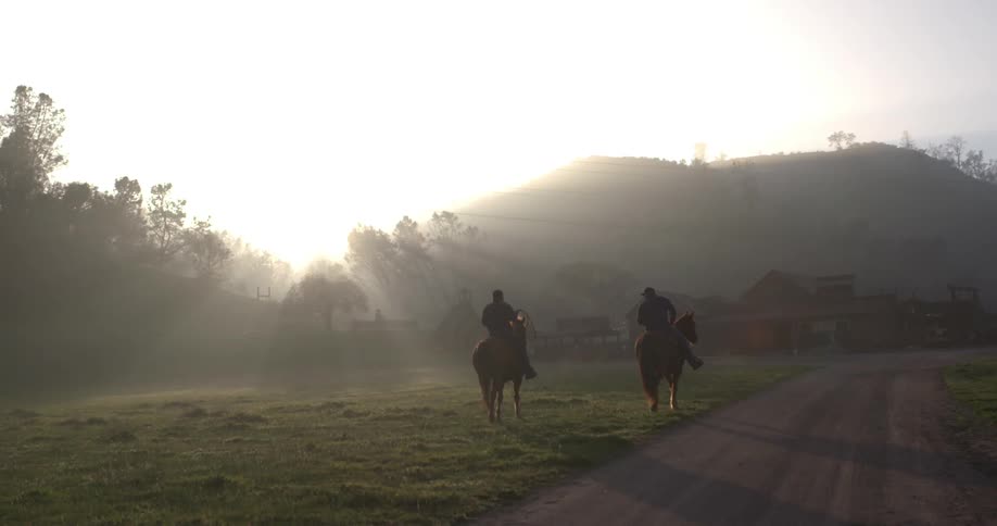 People riding horses