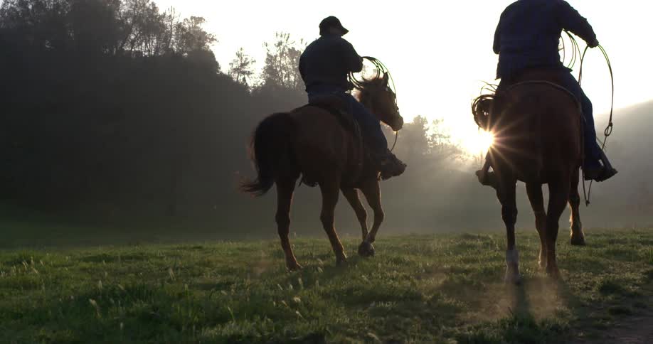 People riding horses