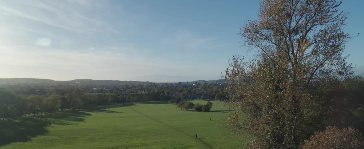 A field of green grass among a forest of trees on a day with a clear blue sky