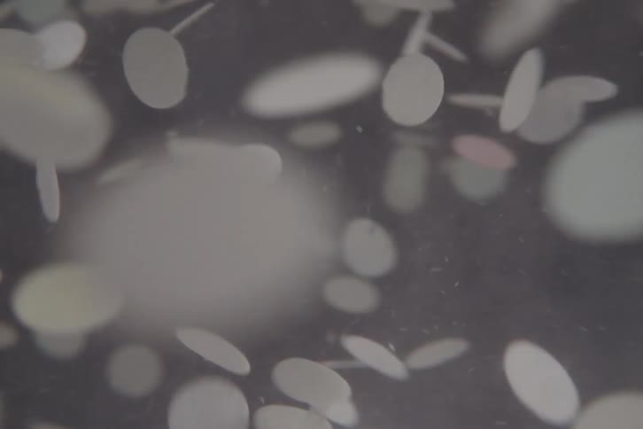 Close up of white paper disks floating and spinning in water