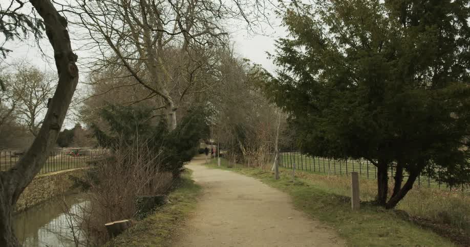 A trail goes through the park