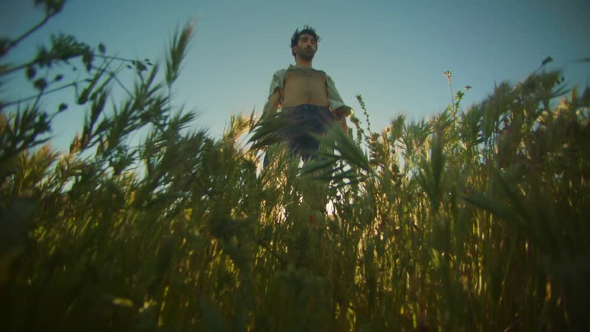 Man stands among tall plants in field on a windy day