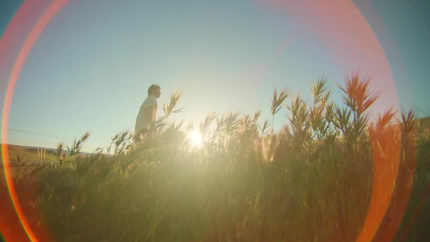 A man is walking through the tall grass