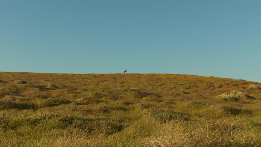 A wide clip of a grass land