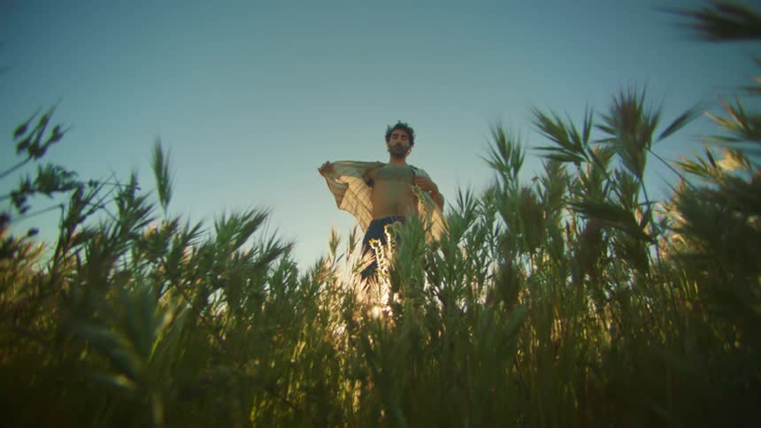 A man is standing in the tall grass