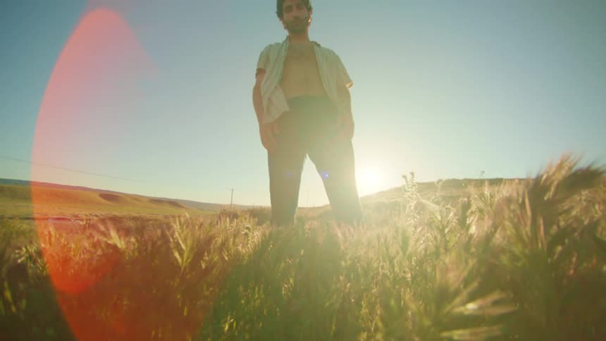 A man is standing in the tall grass