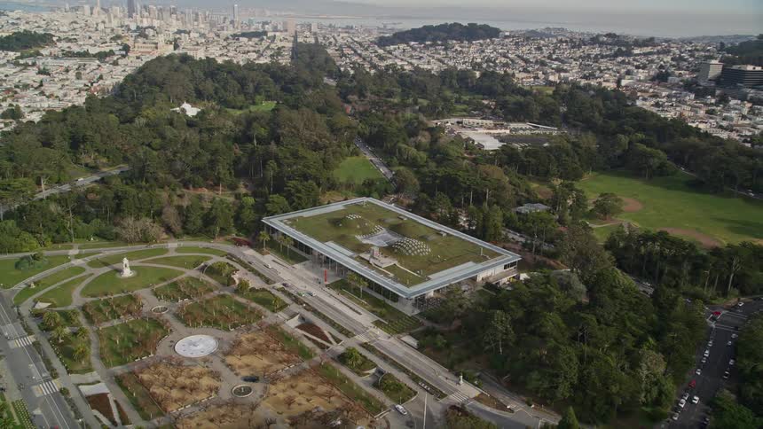 A city is on the shore by the forest