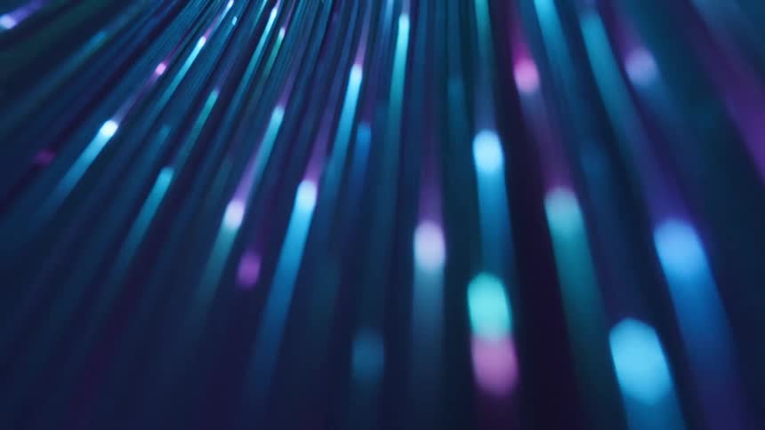 The wires are covered with lights